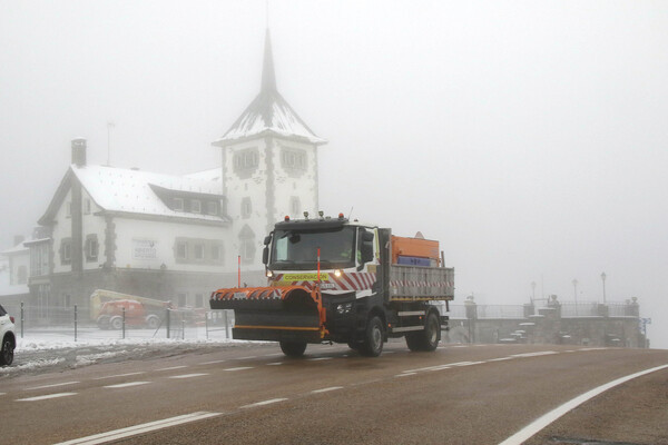 Nieve