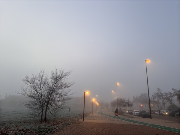 Niebla