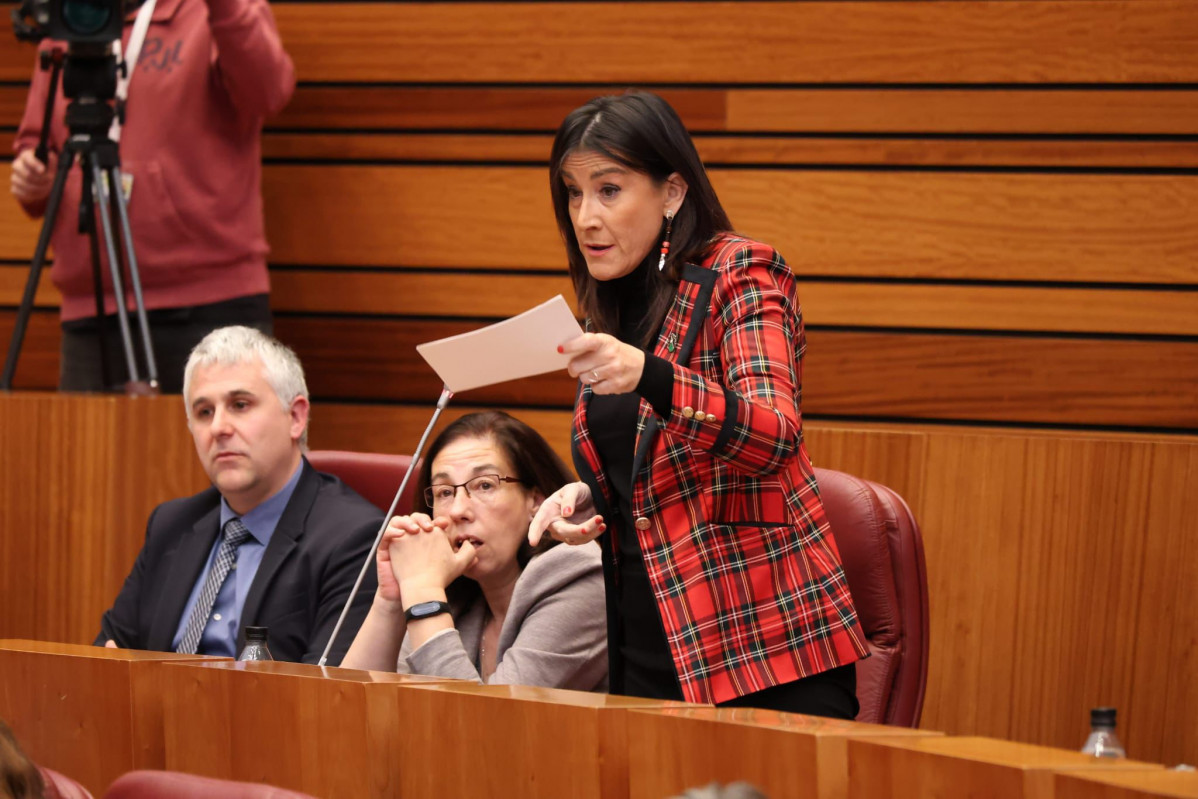 ANA SÁNCHEZ   PLENO CORTES (2)