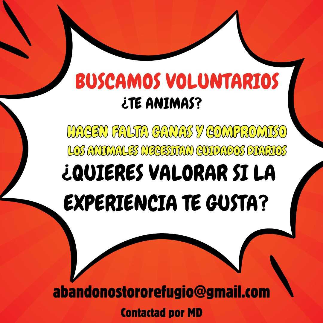 Voluntarios Toro
