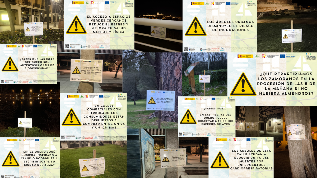 Collage carteles
