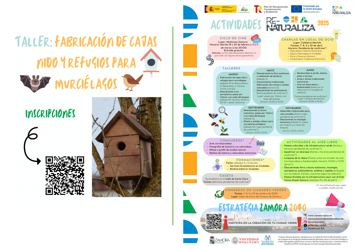 Taller cajas nidoXactividades