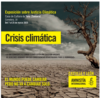 Amnistía Zamora