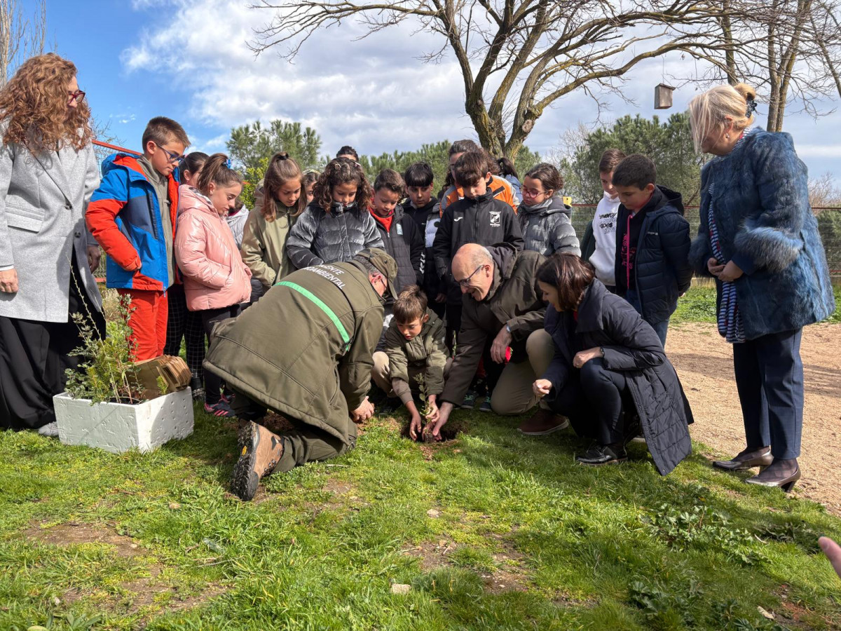 Imagen CEIP Riomanzanas Du00eda Arbol