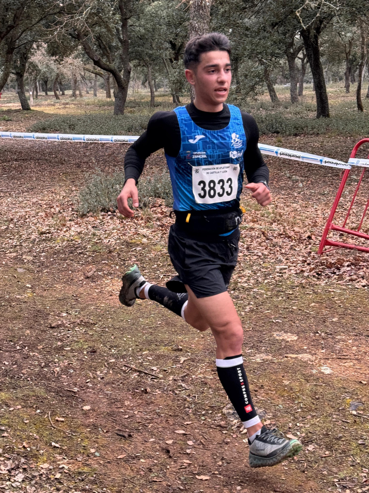 A DANI TRAIL