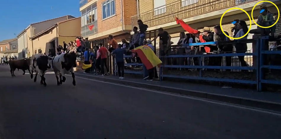 La Bu00f3veda de Toro YT