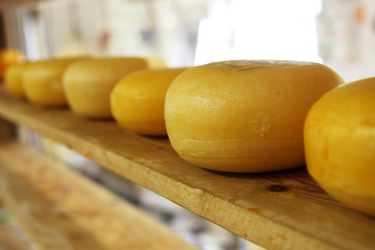 Cheese 2785 1280