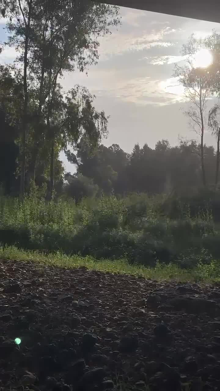 Sara Garcia video