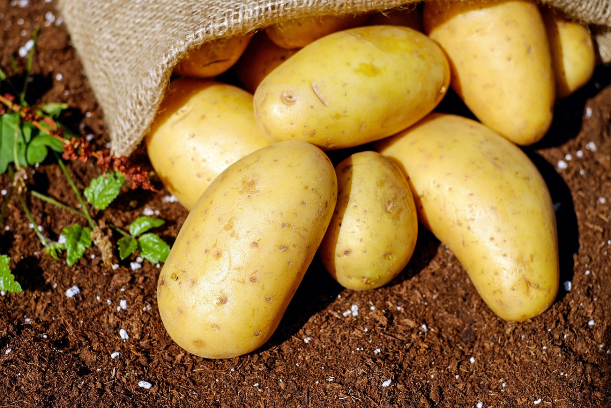Potatoes 1585075 1280