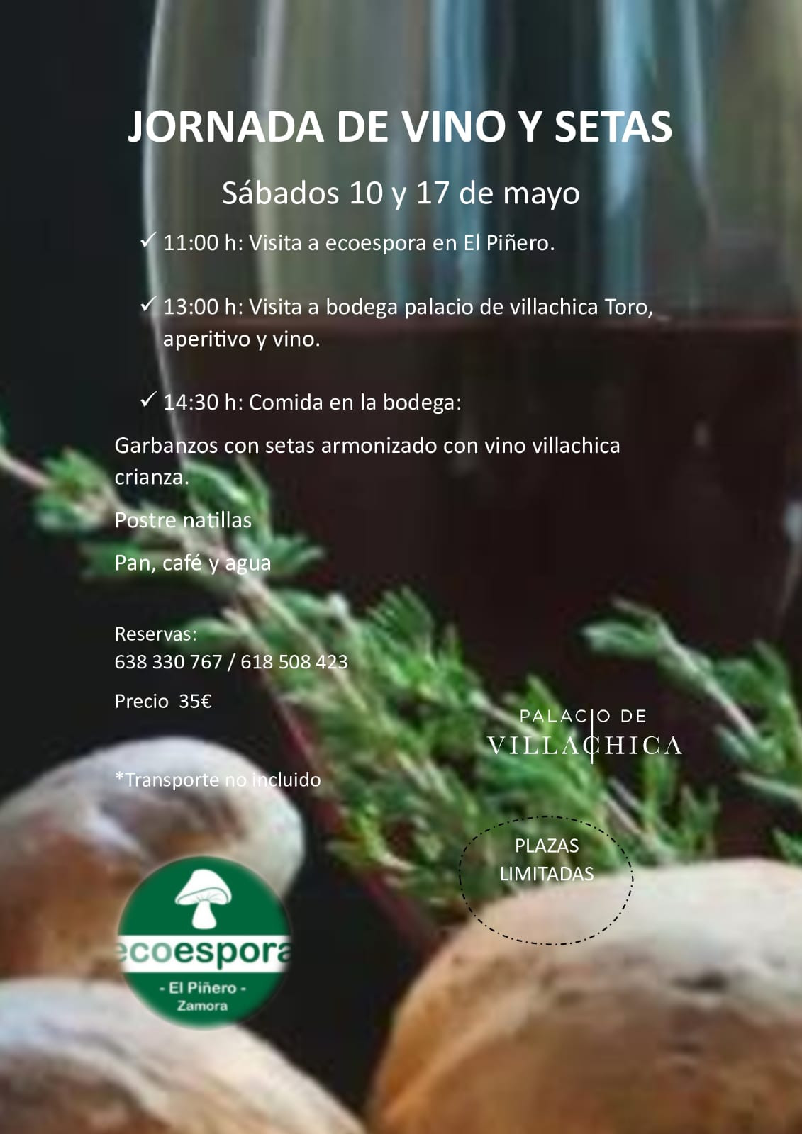 IMG 20250514 WA0047
