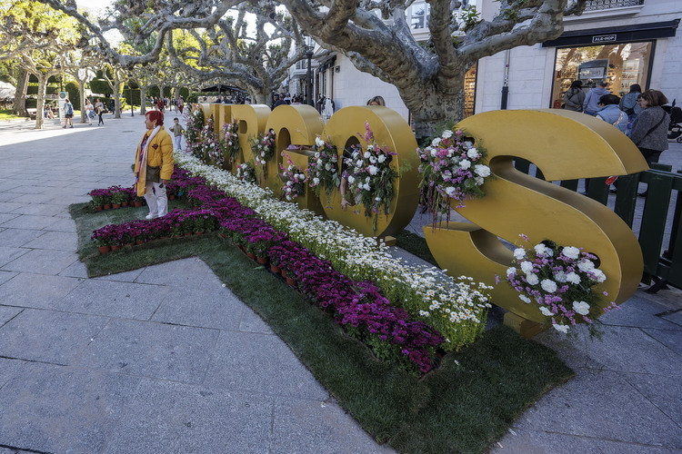 Flores