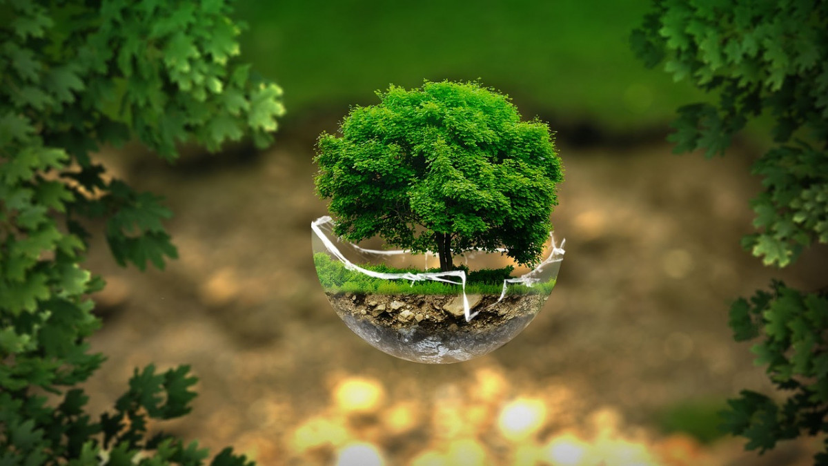 Environment 2196690 1280