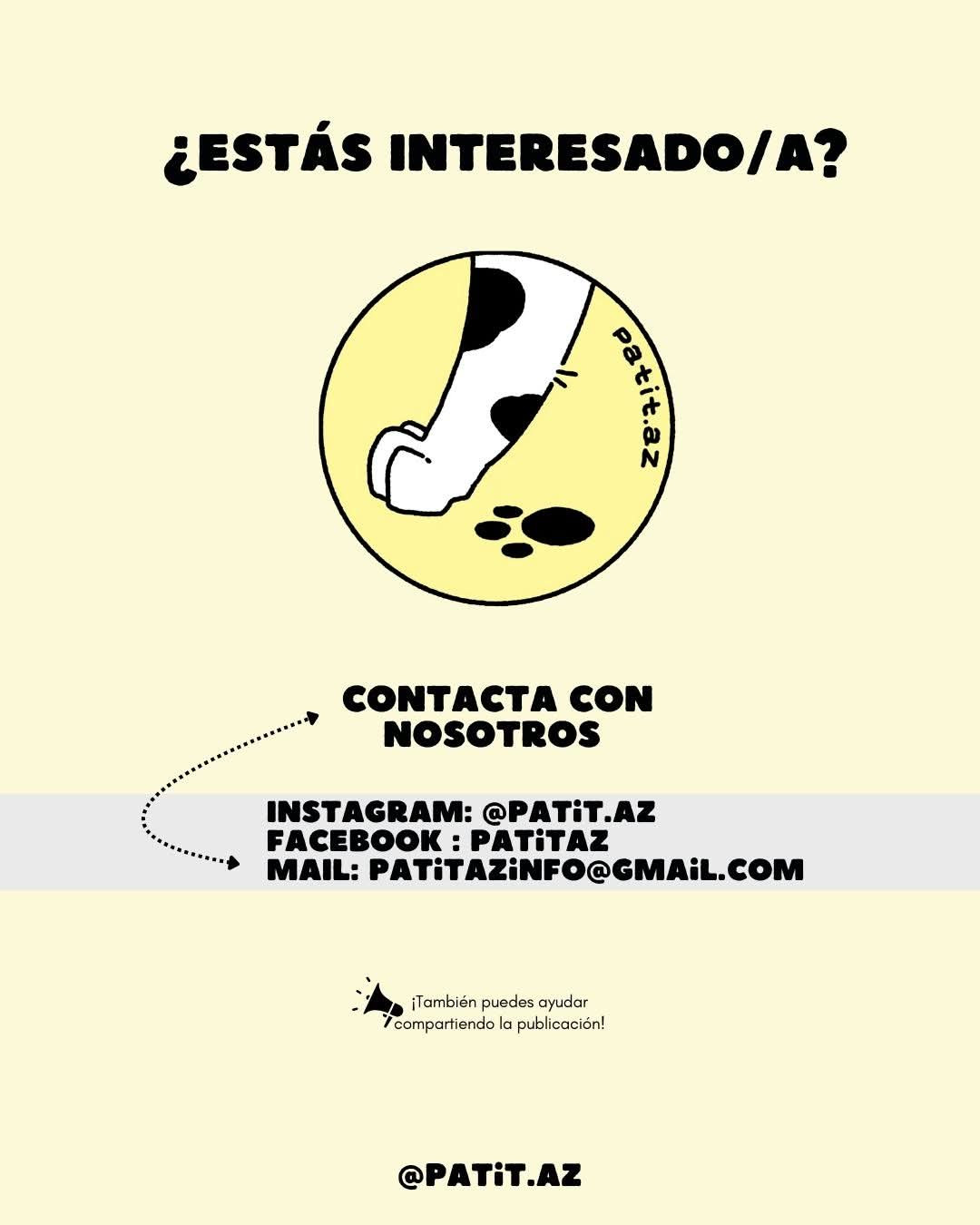 Redes patitaz