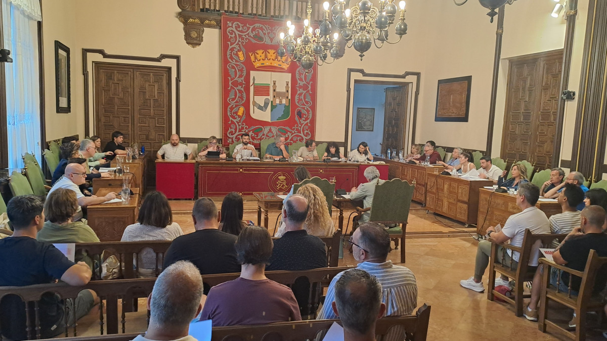Pleno 29 05 2025 (1)