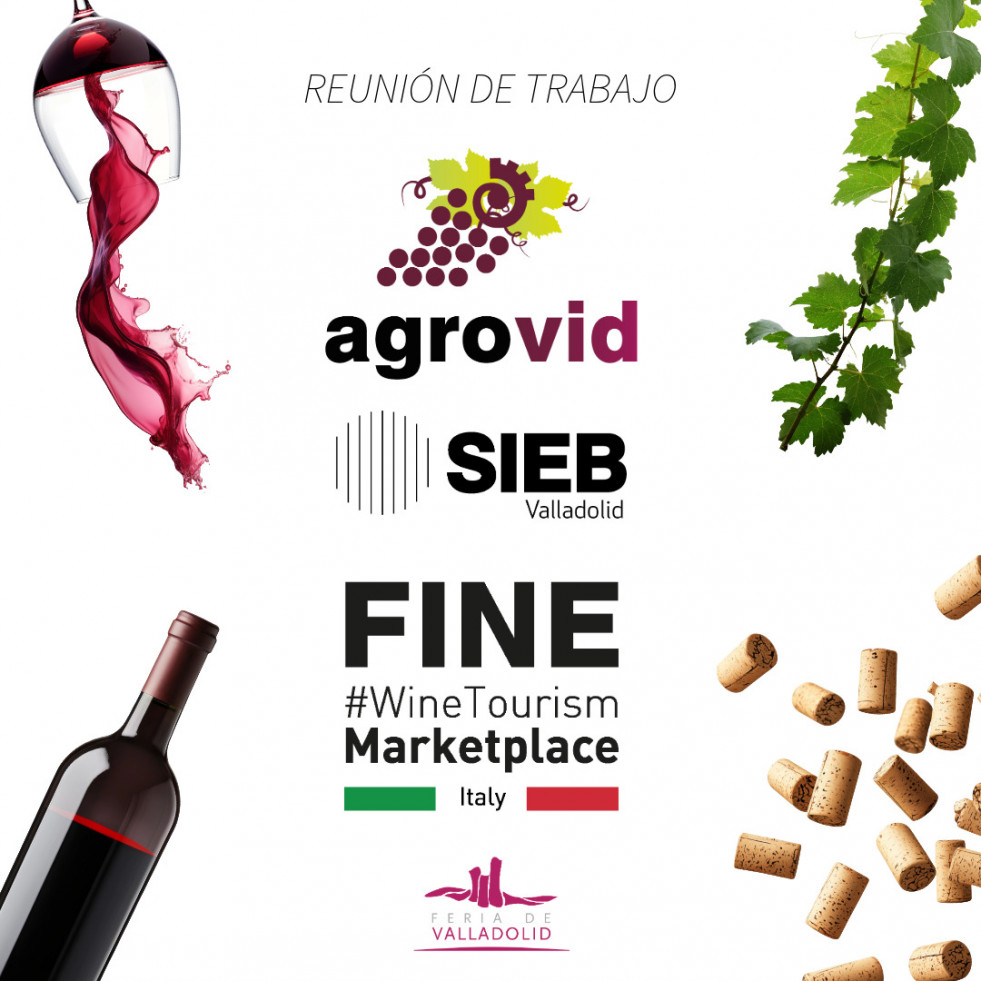 Reunionbierzo