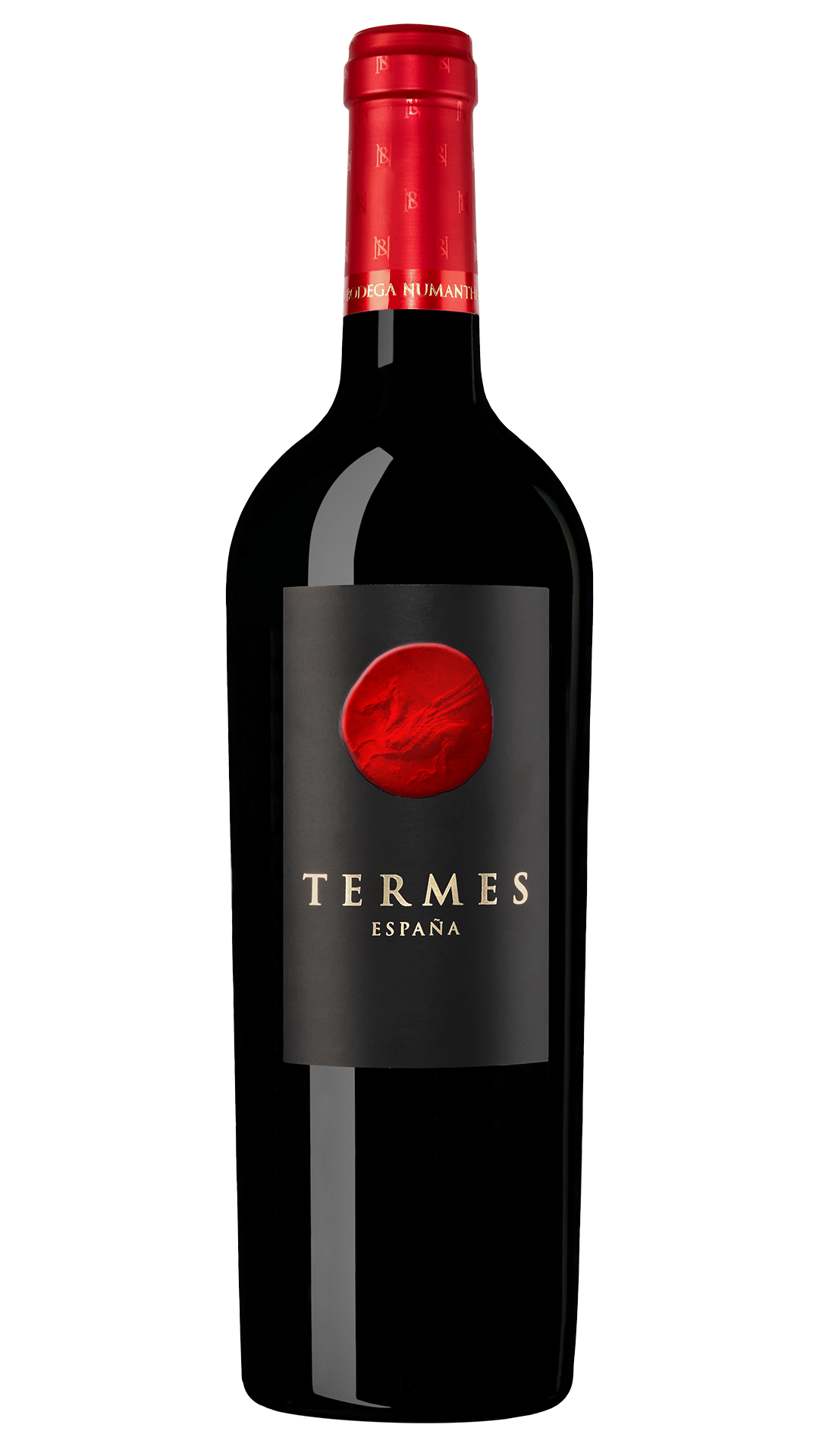 Termes NV