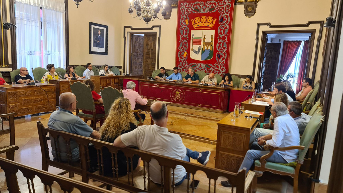 Pleno 15 7 2025 (1)
