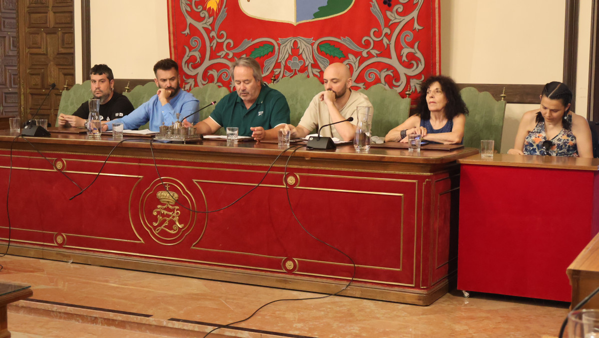 Pleno 15 7 2025 (2)