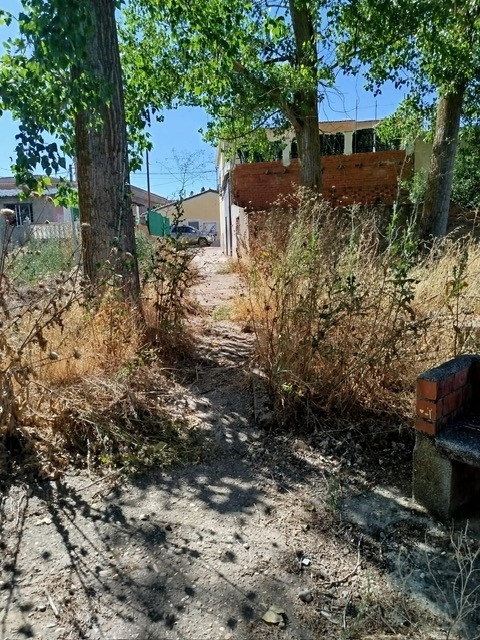 PHOTO 2025 07 22 10 08 18