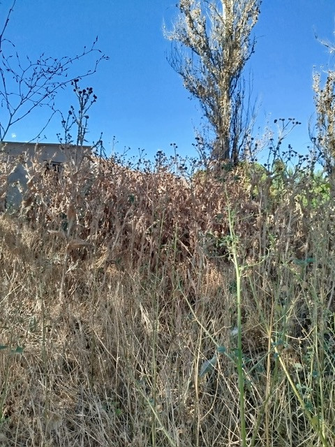 PHOTO 2025 07 22 10 08 18 (1)