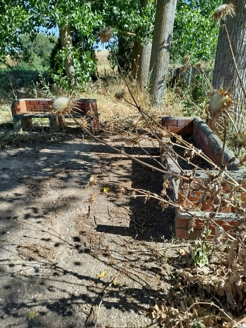 PHOTO 2025 07 22 10 08 19