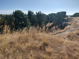PHOTO 2025 07 27 09 35 15 1