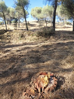 PHOTO 2025 07 27 09 35 16 2