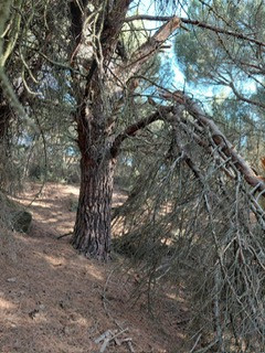 PHOTO 2025 07 27 09 35 15 2