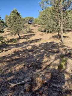 PHOTO 2025 07 27 09 35 17