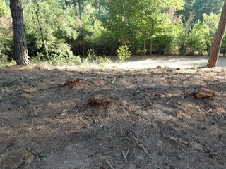 PHOTO 2025 07 27 09 35 15 3