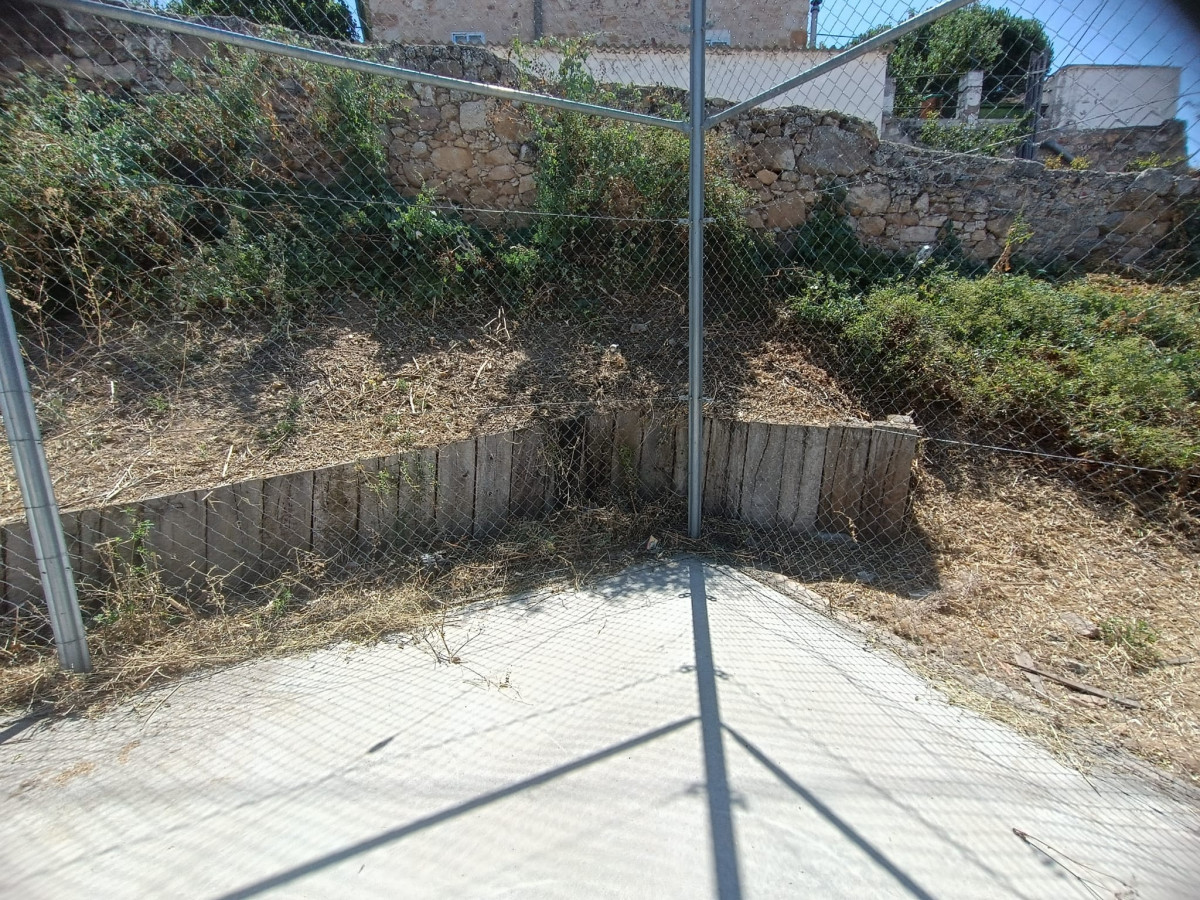 IMG 20250728 WA0007