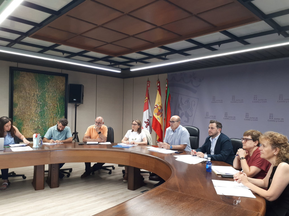 Comisiu00f3n Patrimonio,0