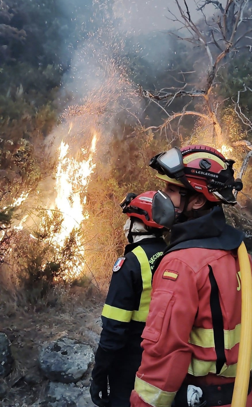 Incendio Porto