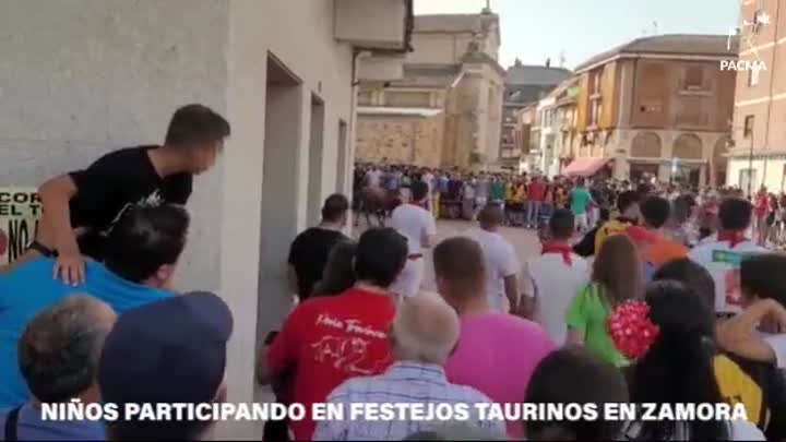 Estos días se están celebrando festejos taurinos como el torito del alba en Benavente Zamora, en los que, como se ve en las imágenes, habrían particip