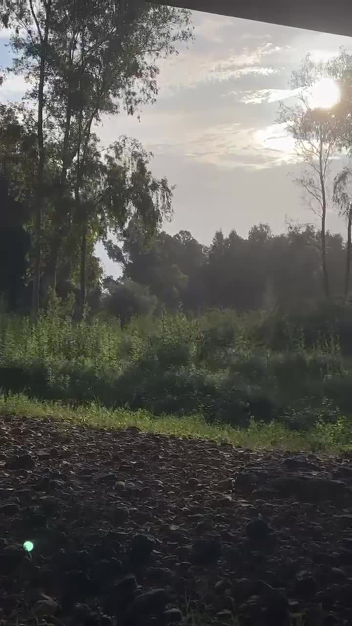 Sara Garcia video